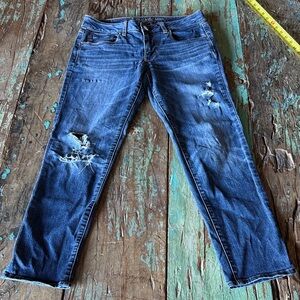 American Eagle Outfitters Blue Distressed Skinny Jeans